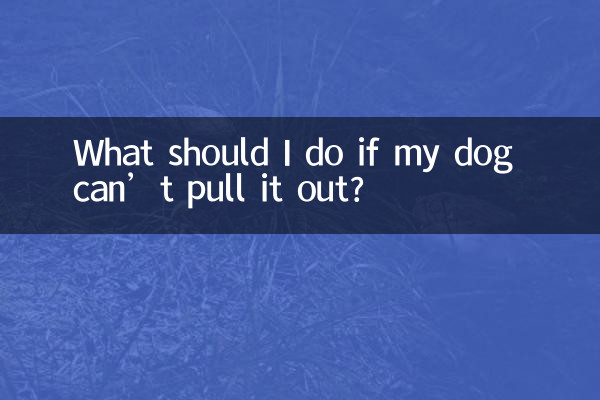 What should I do if my dog can’t pull it out?