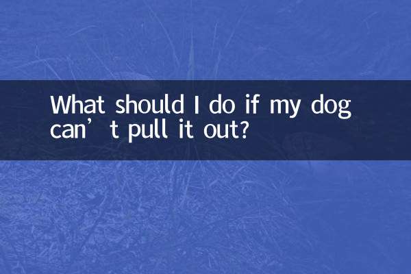 What should I do if my dog can’t pull it out?