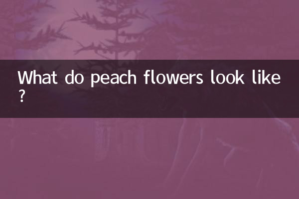A quoi ressemblent les fleurs de pêcher ?