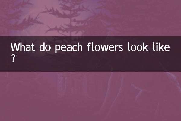 A quoi ressemblent les fleurs de pêcher ?