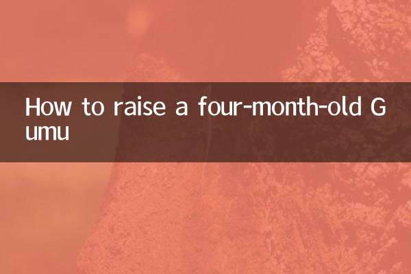 চার মাস বয়সী গুমুকে কিভাবে বড় করবেন