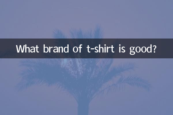 どこのブランドのTシャツがいいですか?