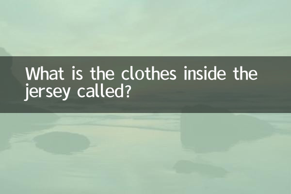 ¿Cómo se llama la ropa que hay dentro de la camiseta?