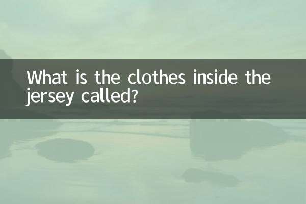 ジャージの中の服は何と呼ばれますか?