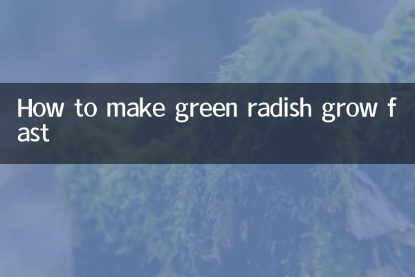 Comment faire pousser un radis vert rapidement