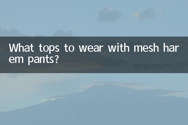 What tops to wear with mesh harem pants?