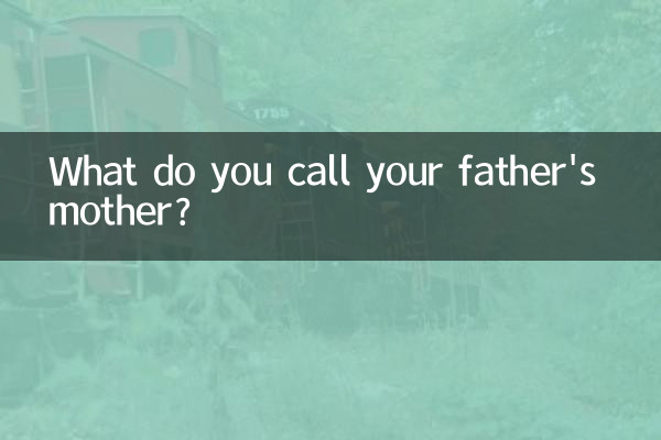 आप अपने पिता की माँ को क्या कहते हैं?