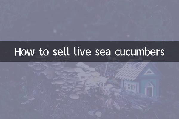 How to sell live sea cucumbers