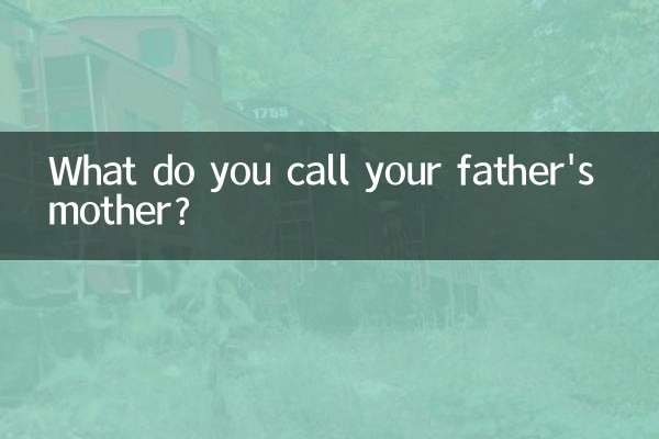 आप अपने पिता की माँ को क्या कहते हैं?
