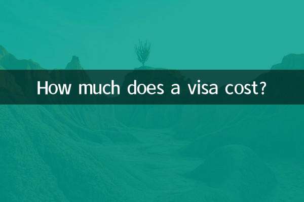 वीज़ा की लागत कितनी है?