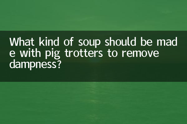 नमी दूर करने के लिए पिग ट्रॉटर्स से किस प्रकार का सूप बनाना चाहिए?