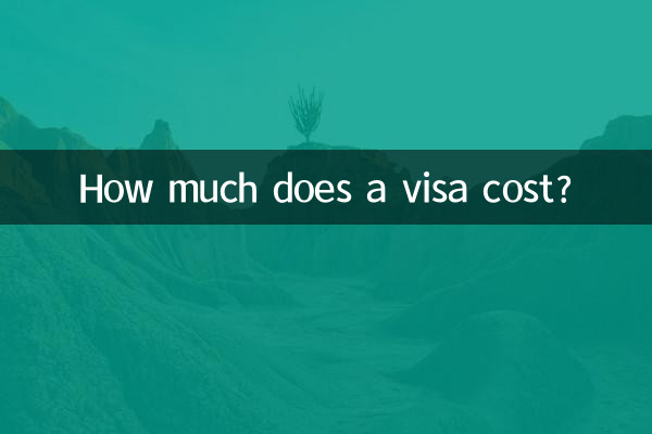 How much does a visa cost?