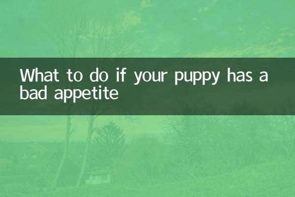 আপনার কুকুরছানা একটি খারাপ ক্ষুধা থাকলে কি করবেন