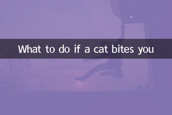 猫に噛まれたらどうするか