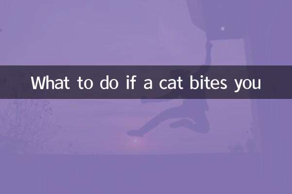 猫に噛まれたらどうするか