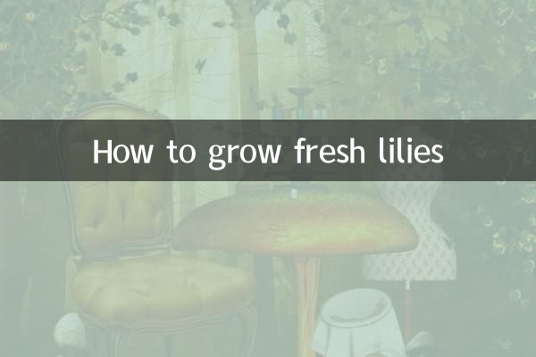 Comment faire pousser des lys frais