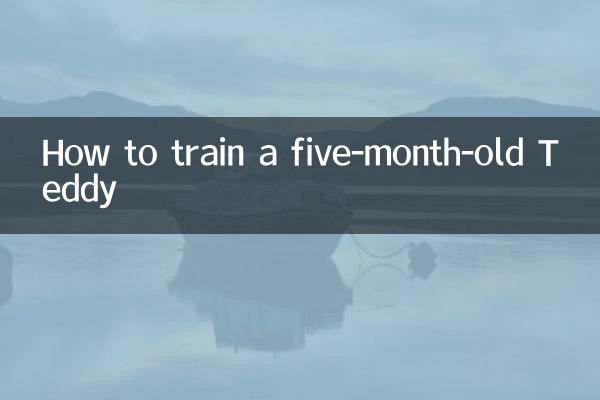 Comment dresser un Teddy de cinq mois