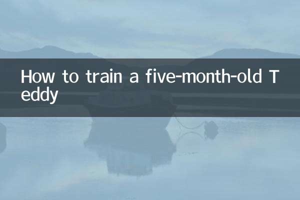 生後5か月のテディをしつける方法