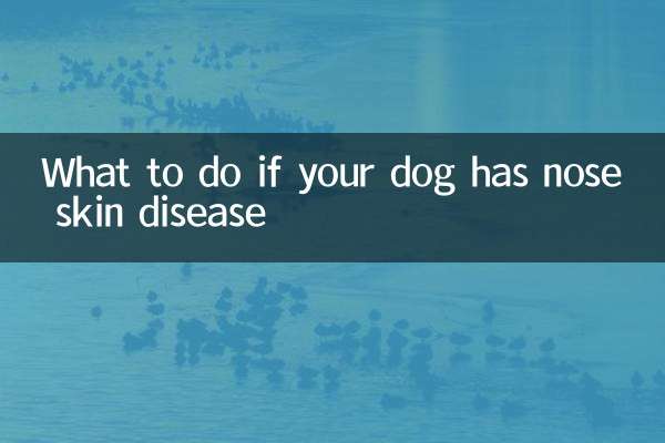 اگر سگ شما بیماری پوستی بینی دارد چه باید کرد؟