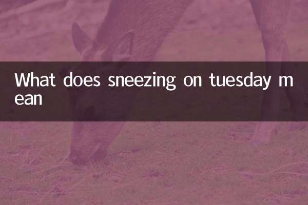 Que signifie éternuer mardi