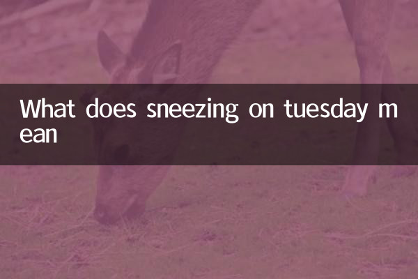 Que signifie éternuer mardi
