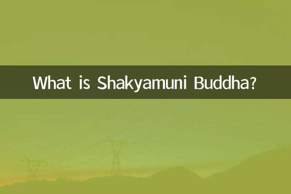 What is Shakyamuni Buddha?