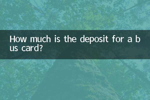 Сколько стоит залог за автобусную карту?