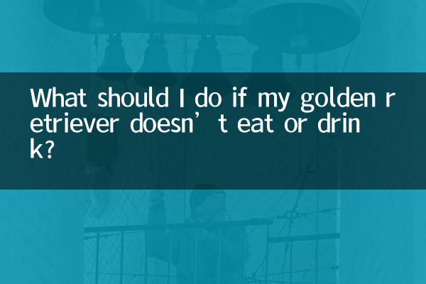 ゴールデンレトリバーが食べたり飲んだりしない場合はどうすればよいですか?