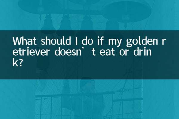 What should I do if my golden retriever doesn’t eat or drink?