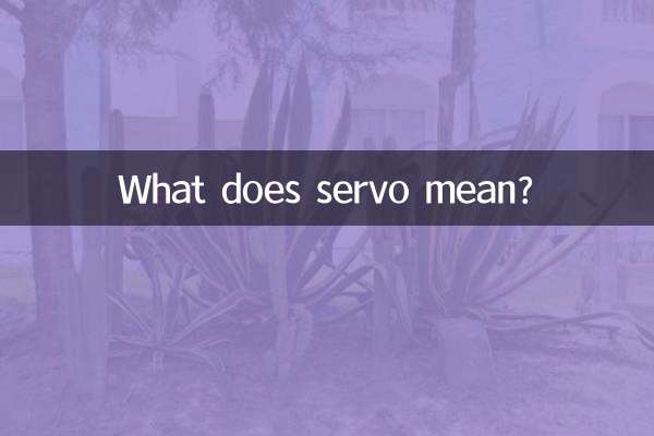 O que significa servo?