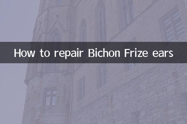 比熊耳朵怎么修