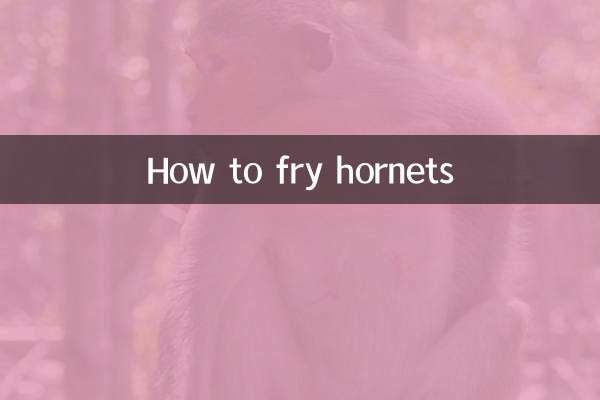 Comment faire frire les frelons