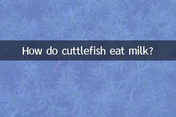 How do cuttlefish eat milk?