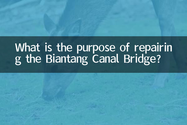 ¿Cuál es el propósito de reparar el Puente del Canal de Biantang?