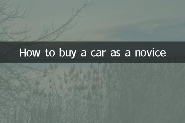 Cómo comprar un coche siendo novato