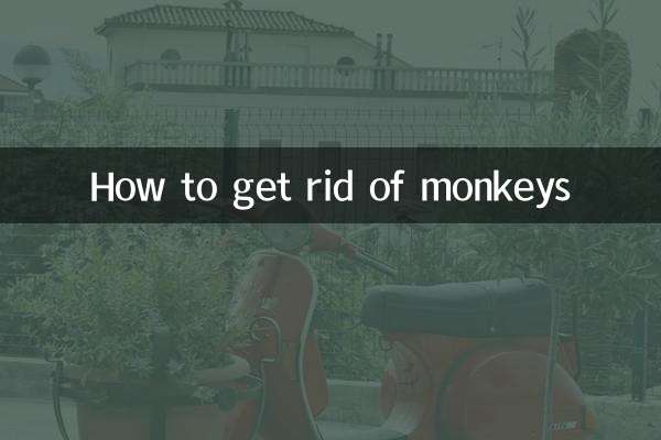 Comment se débarrasser des singes