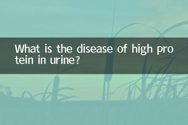 Чем опасен повышенный белок в моче?