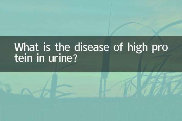 پیشاب میں اعلی پروٹین کی بیماری کیا ہے؟