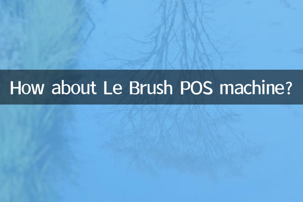 ¿Qué tal la máquina POS Le Brush?