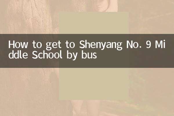 Comment se rendre à l'école intermédiaire n°9 de Shenyang en bus