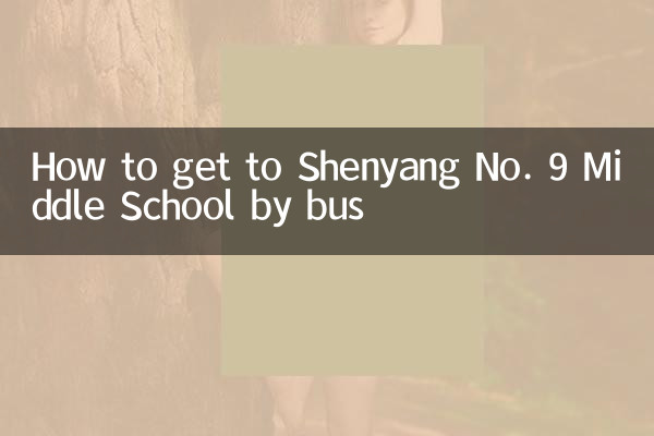 Comment se rendre à l'école intermédiaire n°9 de Shenyang en bus