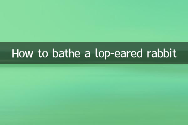 Cómo bañar a un conejo de orejas caídas