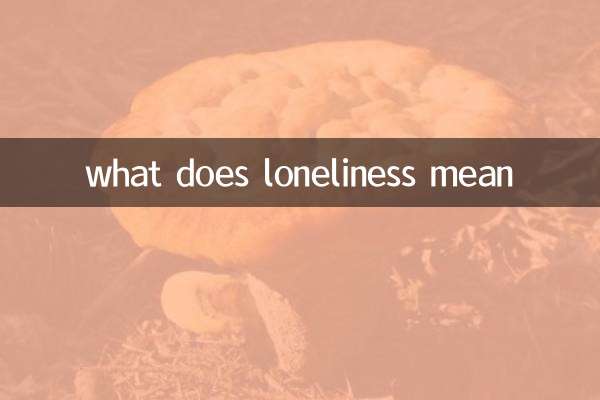 외로움이 무슨 뜻이야?
