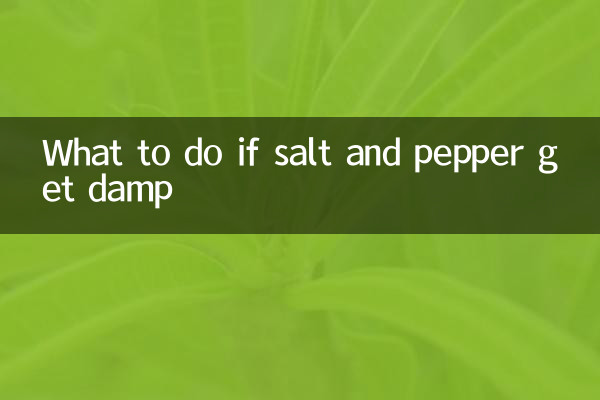 소금과 후추가 축축해지면 어떻게 해야 할까요?
