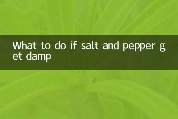 소금과 후추가 축축해지면 어떻게 해야 할까요?