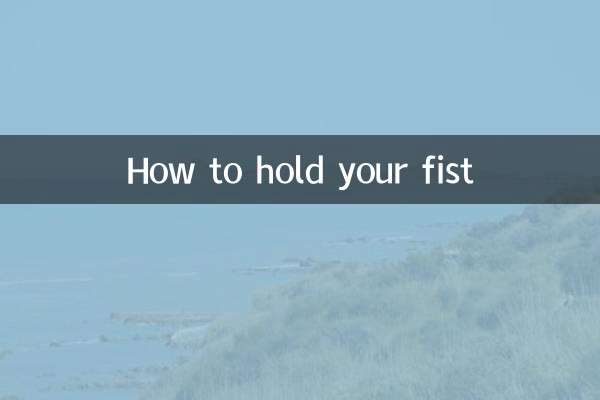 چگونه مشت خود را نگه دارید