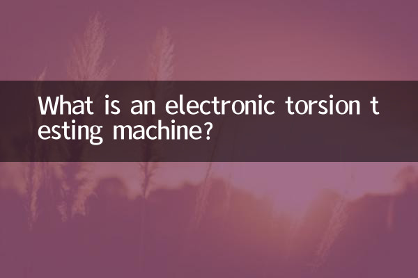 电子扭转试验机是什么