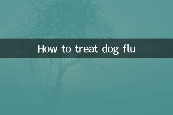 狗狗流感怎么治