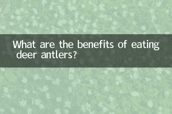 鹿角吃有什么好处