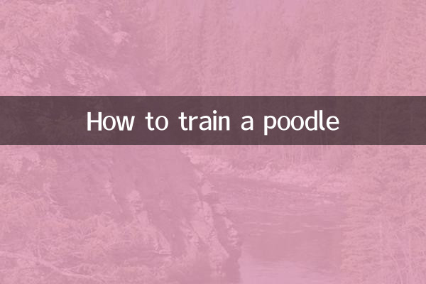 पूडल को कैसे प्रशिक्षित करें